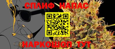 прущие крисы Кимры