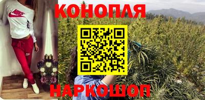 прущие крисы Кимры