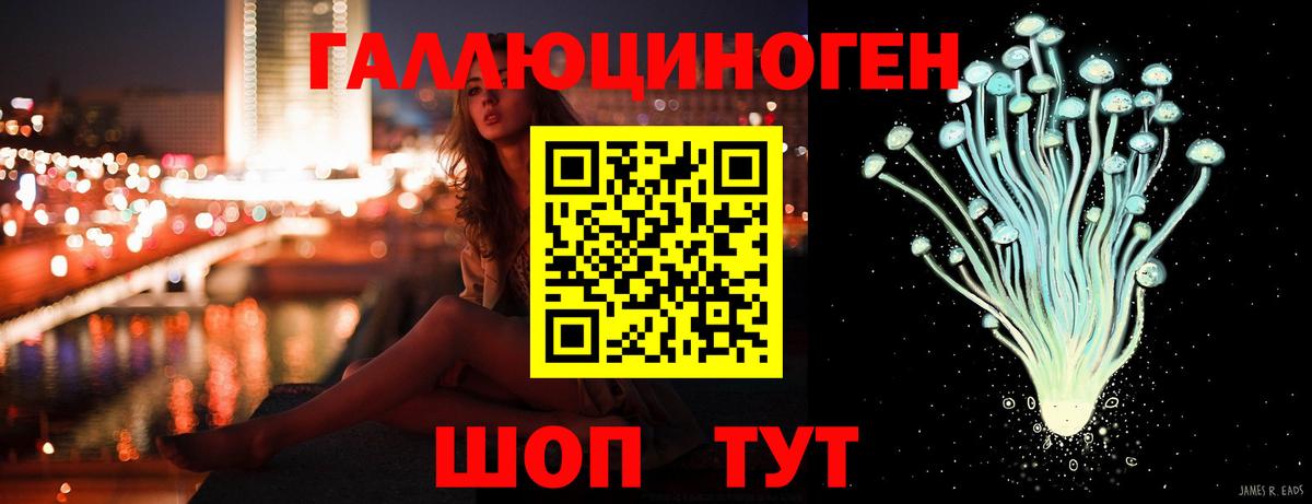 Псилоцибиновые грибы Psilocybe Минусинск